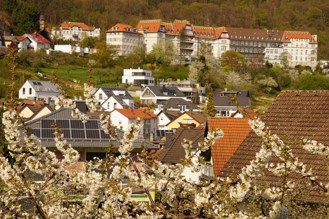 Ferienwohnung Wolff, Kelkheim Buitenkant foto